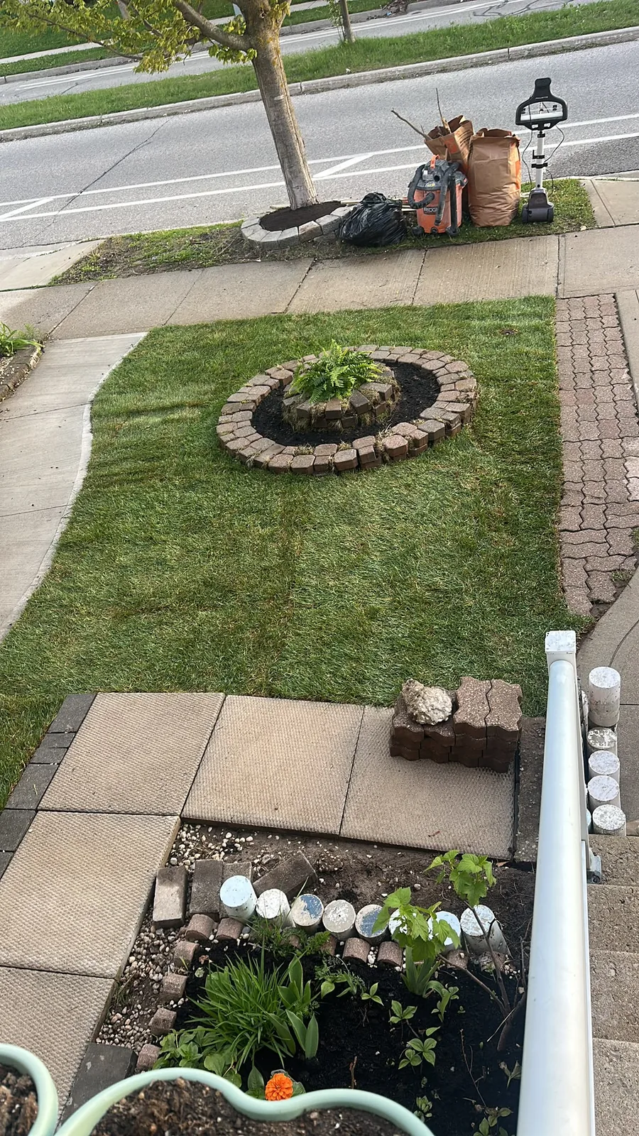 Waterloo front yard after landscaping with new lawn sections and refreshed circular planting beds